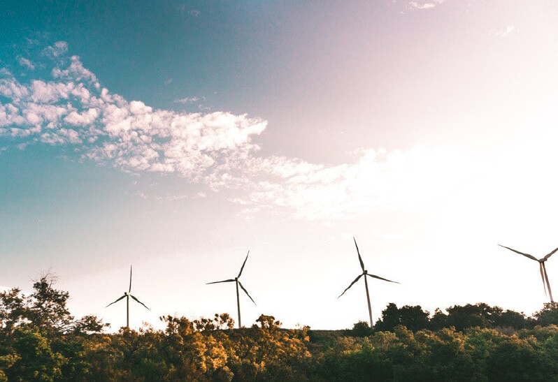 Windräder Regenerative Energie Wald Sonne Himmel