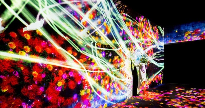 Teamlab Ausstellung Kunst Natur Nachhaltigkeit