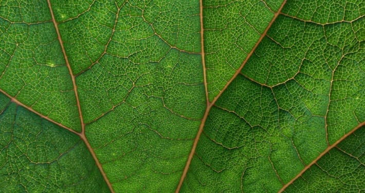 Green_Money_Climate